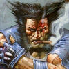 Wolverine - Im004.JPG