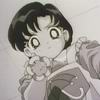 Sailor moon : luna v matroske - Im026.JPG
