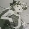 Sailor moon : luna v matroske - Im027.JPG