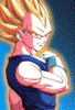 ドラゴンボール - Im023.GIF