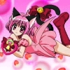 Mew mew amiche vincenti - Im023.JPG