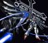 Gundam seed destiny - Im014.JPG