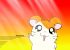 Hamtaro - Im004.JPG