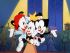 Les animaniacs - Im003.JPG