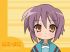 Lucky star - Im006.JPG