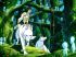 Princess mononoke - Im026.JPG