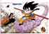 Dragon ball - Im051.JPG