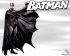 Batman - Im010.JPG