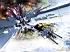 Gundam seed - Im015.JPG