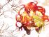 Shakugan no shana - Im006.JPG