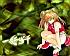 Dragon girls : ikki tousen - Im002.JPG