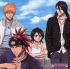 Bleach - Im100.JPG