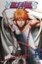 Bleach Vol.11