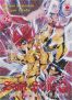 Saint Seiya Episode G T.19