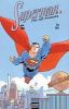 Superman - For all seasons T.2