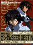 Gundam Seed Destiny - Phase Destiny