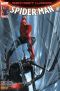 Secret wars - Spiderman T.2 - couverture A