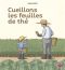 Cueillons les feuilles de th