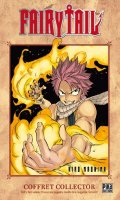 Fairy Tail T.19 collector