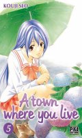 A town where you live T.5