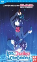 Love, chunibyo, and other delusions ! - saison 1 - intgrale - blu-ray