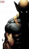 Wolverine (v4) T.20 - collector