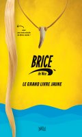 Brice, le grand livre jaune