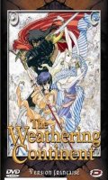 The weathering continent
