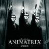 Animatrix - Im002.JPG