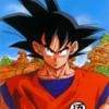 Dragon ball - Im014.JPG