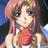 Gundam seed - Im012.JPG