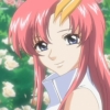 Gundam seed - Im016.JPG