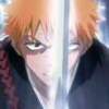 Bleach - Im015.JPG