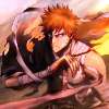 Bleach - Im021.JPG