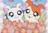 Hamtaro - pequenos hamsters, grandes aventuras - Im003.JPG