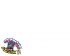 Lucky star - Im001.JPG