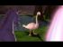 Barbie of swan lake - Im002.JPG