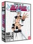 Bleach - collector Vol.13