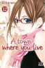 A town where you live T.12