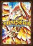 Saint Seiya - Next dimension T.6