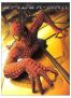 Spiderman - dition collector 2 DVD