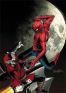 Spiderman T.105