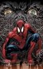 Spiderman - Brand new days poster 2