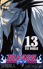 Bleach T.13