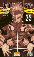 Jujutsu Kaisen T.29