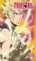 Fairy Tail Vol.18