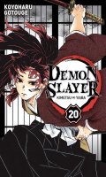 Demon slayer T.20