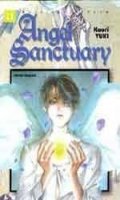 Angel Sanctuary T.11