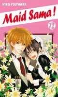 Maid sama T.12