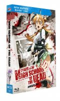 High School of the Dead - combo